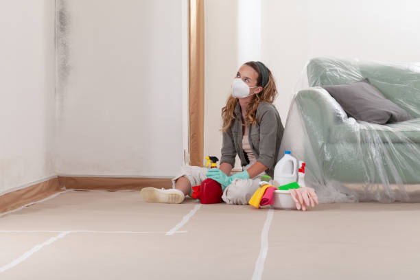 Reliable Black Mold Remediation contractor in Barnesville, MD by Mold Remediation HQ